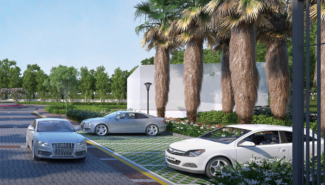 the-flower-city-nilokheri